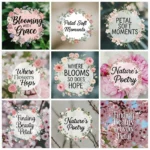 Aesthetic Flower Captions for Instagram